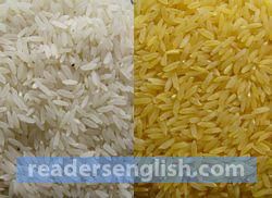 Rice Urdu meaning