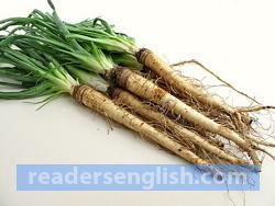 salsify Urdu meaning