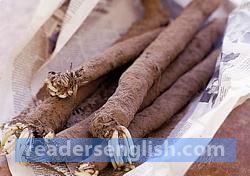 salsify Urdu meaning