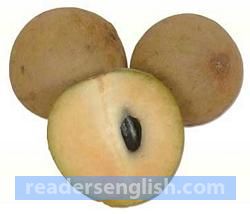 sapodilla Urdu meaning