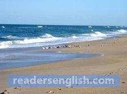 seashore Urdu meaning