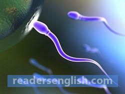 semen Urdu meaning