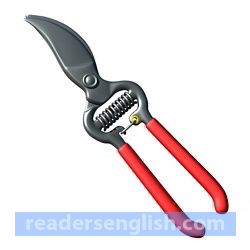 shears Urdu meaning