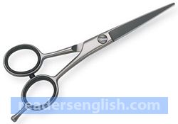 shears Urdu meaning