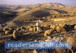 sheepherder Urdu meaning