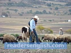 sheepherder Urdu meaning