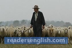 sheepherder Urdu meaning