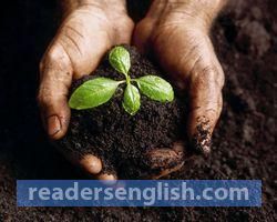 soil Urdu meaning