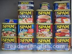 Spam Urdu meaning