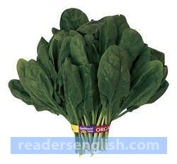 spinach Urdu meaning