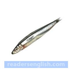 sprat Urdu meaning