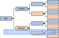 stemma Urdu meaning