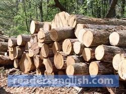 timber Urdu meaning