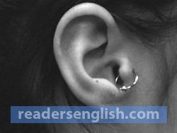 tragus Urdu meaning