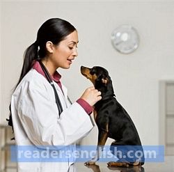 Veterinarian Urdu Meaning