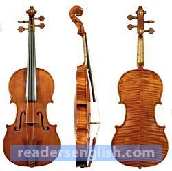 violin Urdu meaning