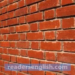 wall Urdu meaning