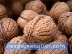 walnut Urdu meaning