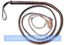 whip Urdu meaning