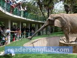 zoo Urdu meaning