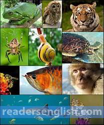 zoology Urdu meaning